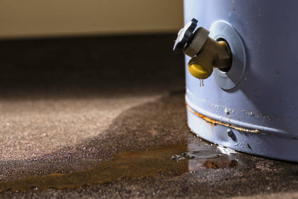 Best Flood damage cleanup  in Flower Mound, TX