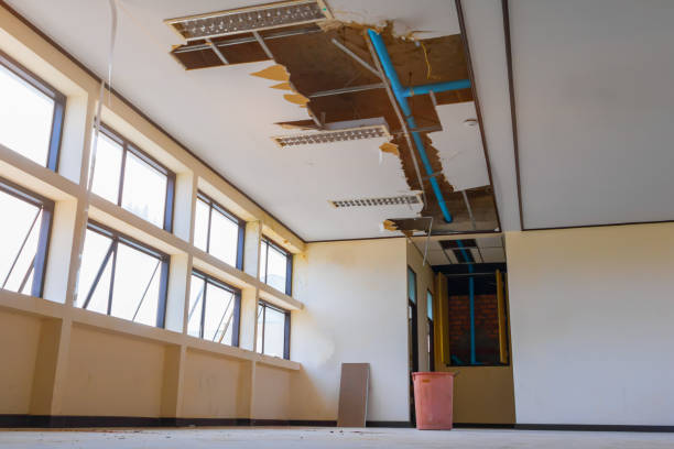 Best Residential water damage restoration  in Flower Mound, TX