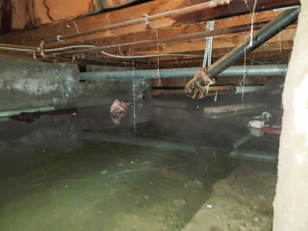 Best Fire Damage Restoration  in Flower Mound, TX