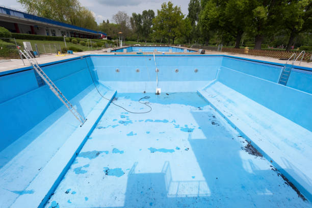 Best Mold removal after water damage  in Flower Mound, TX