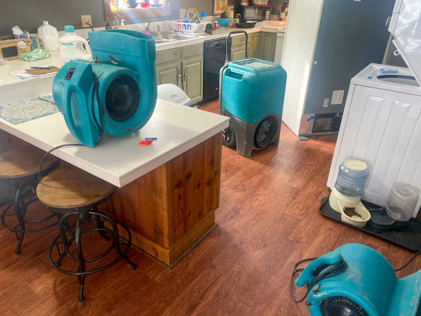  Flower Mound, TX Water damage restoration Pros