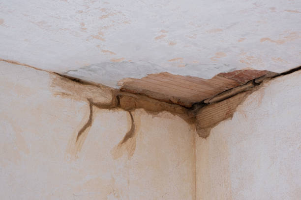 Reliable Flower Mound, TX Water damage restoration Solutions