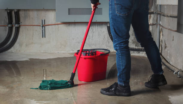 Best Local water damage restoration  in Flower Mound, TX