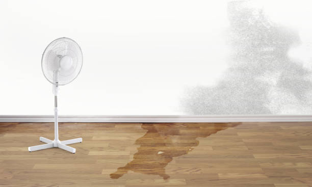 Best Basement water damage restoration  in Flower Mound, TX
