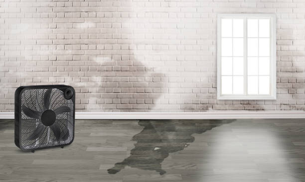 Best Water damage restoration near me  in Flower Mound, TX