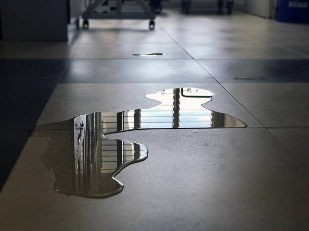 Best Water damage restoration near me  in Flower Mound, TX