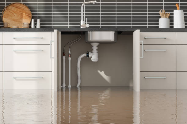 Water damage restoration experts in Flower Mound, TX