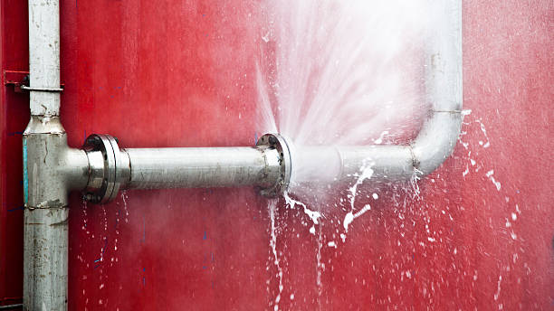 Best Mold removal after water damage  in Flower Mound, TX